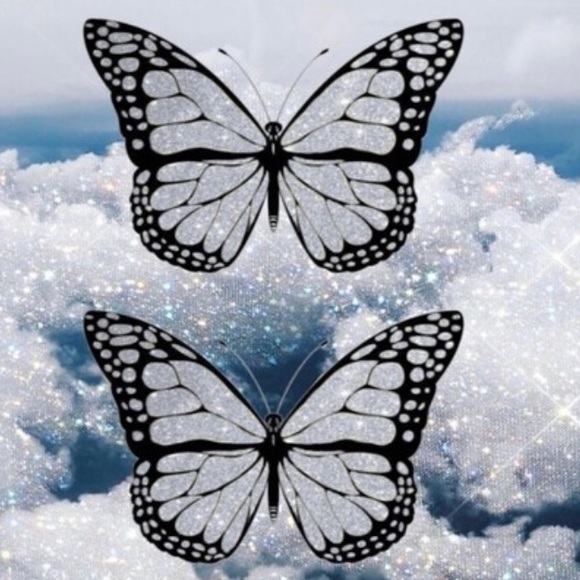 Meet your Posher, Hadasah - Picture 1 of 1